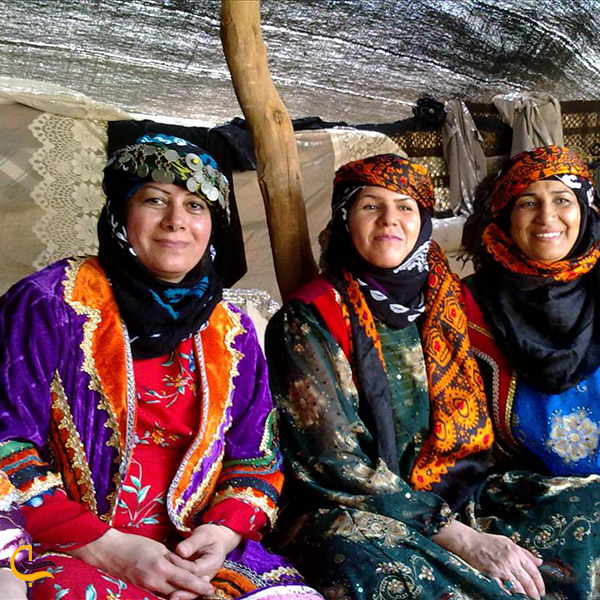 دشت گل بهار؛ سردشت